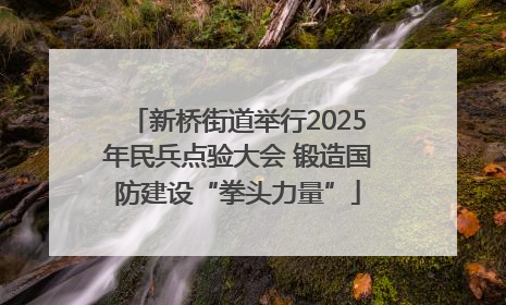 新桥街道举行2025年民兵点验大会 锻造国防建设“拳头力量”