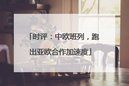 时评：中欧班列，跑出亚欧合作加速度