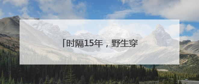 时隔15年，野生穿山甲再现湖南桂东
