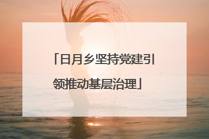 日月乡坚持党建引领推动基层治理