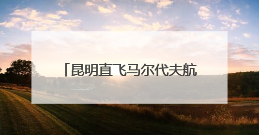 昆明直飞马尔代夫航线复航 昆明边检全力保障暑期跨境游