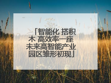 智能化 搭积木 高效率一座未来高智能产业园区雏形初现