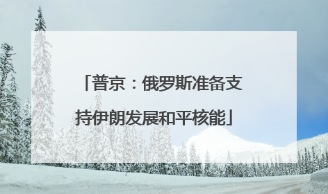 普京：俄罗斯准备支持伊朗发展和平核能