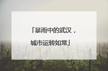 暴雨中的武汉，城市运转如常