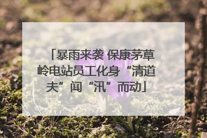 暴雨来袭 保康茅草岭电站员工化身“清道夫”闻“汛”而动
