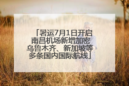 暑运7月1日开启 南昌机场新增加密乌鲁木齐、新加坡等多条国内国际航线
