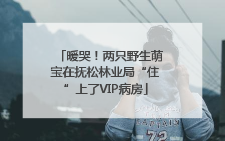 暖哭！两只野生萌宝在抚松林业局“住”上了VIP病房