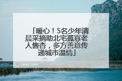 暖心！5名少年清晨采摘助北宅孤寡老人售杏，多方善意传递城市温情