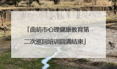 曲靖市心理健康教育第二次巡回培训圆满结束