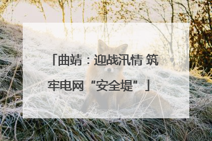 曲靖：迎战汛情 筑牢电网“安全堤”