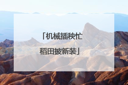 机械插秧忙 稻田披新装