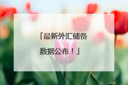 最新外汇储备数据公布！