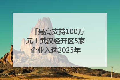 最高支持100万元！武汉经开区5家企业入选2025年度武汉市重点研发计划拟立项项目名单