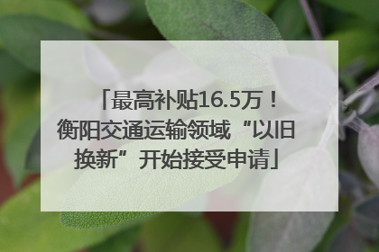最高补贴16.5万！衡阳交通运输领域“以旧换新”开始接受申请