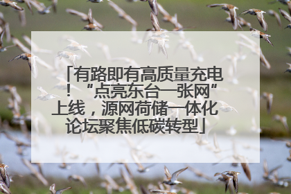 有路即有高质量充电！“点亮东台一张网”上线，源网荷储一体化论坛聚焦低碳转型