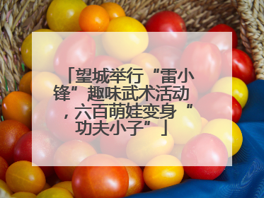 望城举行“雷小锋”趣味武术活动，六百萌娃变身“功夫小子”
