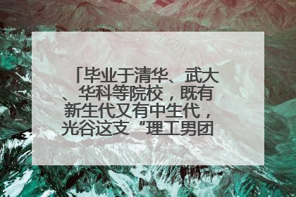 毕业于清华、武大、华科等院校，既有新生代又有中生代，光谷这支“理工男团”为何“出道”？