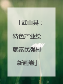武山县：特色产业绘就富民强村新画卷