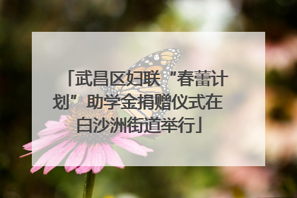 武昌区妇联“春蕾计划”助学金捐赠仪式在白沙洲街道举行