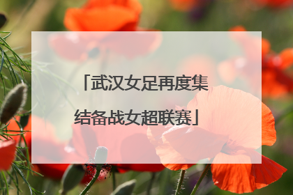 武汉女足再度集结备战女超联赛