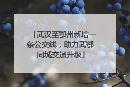 武汉至鄂州新增一条公交线，助力武鄂同城交通升级