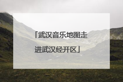 武汉音乐地图走进武汉经开区