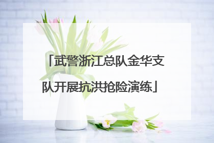 武警浙江总队金华支队开展抗洪抢险演练