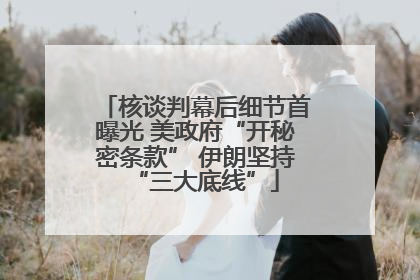 核谈判幕后细节首曝光 美政府“开秘密条款” 伊朗坚持“三大底线”