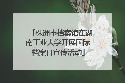 株洲市档案馆在湖南工业大学开展国际档案日宣传活动
