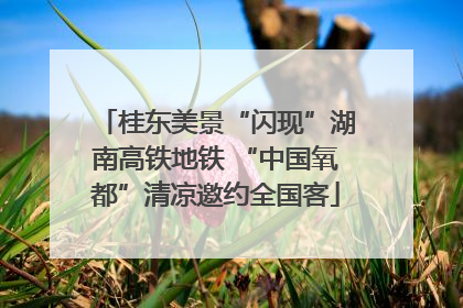 桂东美景“闪现”湖南高铁地铁 “中国氧都”清凉邀约全国客