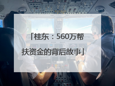 桂东：560万帮扶资金的背后故事