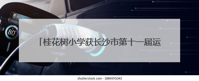 桂花树小学获长沙市第十一届运动会三人制篮球比赛少年组双冠