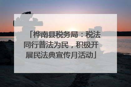 桦南县税务局：税法同行普法为民，积极开展民法典宣传月活动