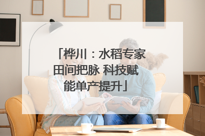 桦川：水稻专家田间把脉 科技赋能单产提升