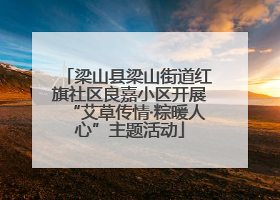 梁山县梁山街道红旗社区良嘉小区开展“艾草传情·粽暖人心”主题活动