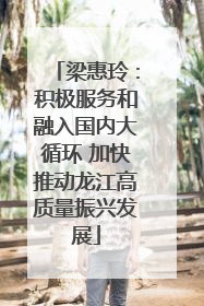 梁惠玲：积极服务和融入国内大循环 加快推动龙江高质量振兴发展