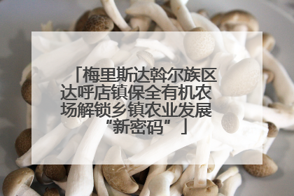 梅里斯达斡尔族区达呼店镇保全有机农场解锁乡镇农业发展“新密码”