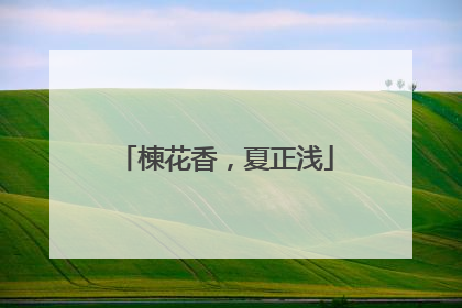 楝花香，夏正浅