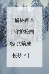 榆林神木：守护校园餐 共筑成长梦？