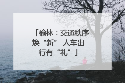 榆林：交通秩序焕“新” 人车出行有“礼”
