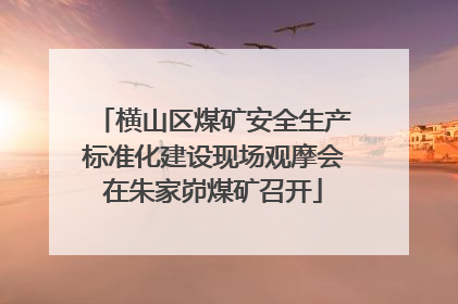 横山区煤矿安全生产标准化建设现场观摩会在朱家峁煤矿召开
