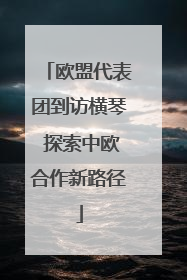 欧盟代表团到访横琴 探索中欧合作新路径