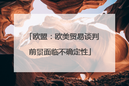 欧盟：欧美贸易谈判前景面临不确定性