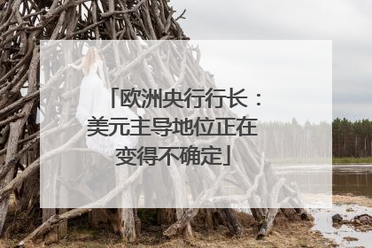 欧洲央行行长：美元主导地位正在变得不确定