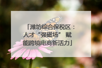 潍坊综合保税区：人才“强磁场” 赋能跨境电商新活力