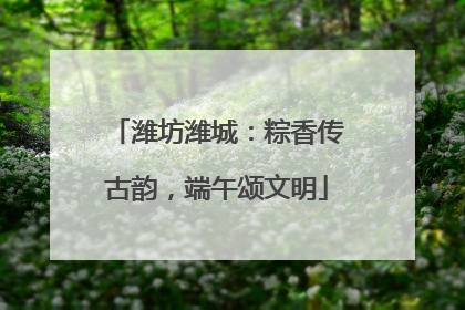 潍坊潍城：粽香传古韵，端午颂文明