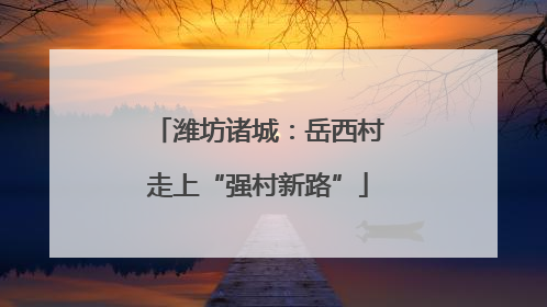 潍坊诸城：岳西村走上“强村新路”