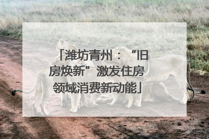 潍坊青州：“旧房焕新”激发住房领域消费新动能