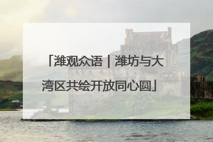 潍观众语｜潍坊与大湾区共绘开放同心圆