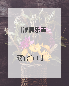 潘展乐重磅官宣！